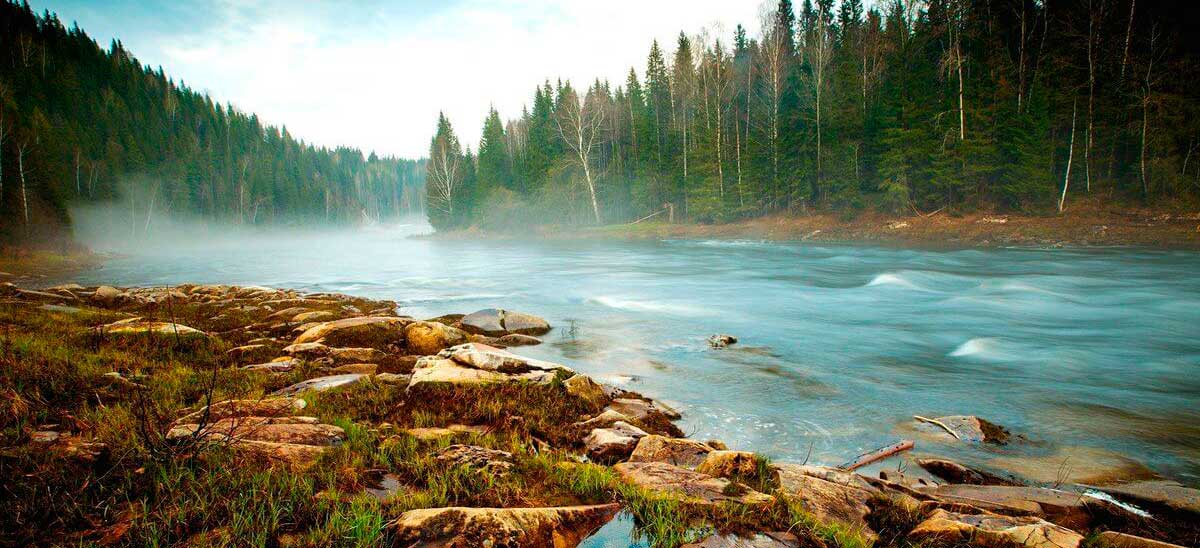Природа реки Усьва возле Перми