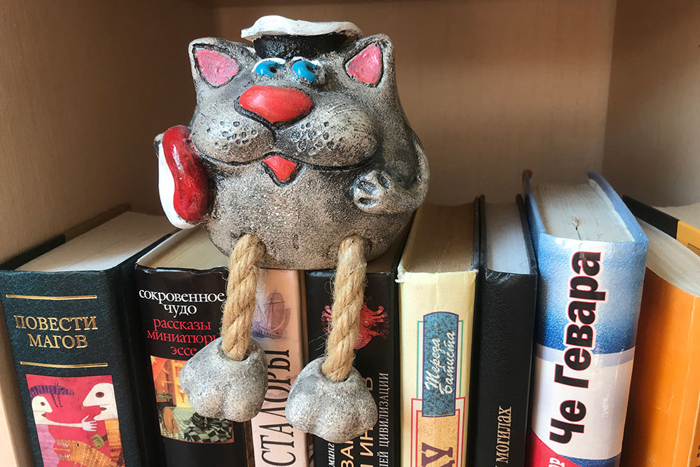 Теперь кот-матрос живет у меня на книжной полке
