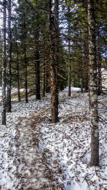 Экотропа Зюраткуль. Небольшие курумы скрыты снежным покровом, несмотря на майские праздники. На улице, примерно +5 +7