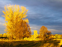 Golden autumn in Bashkiria