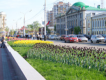 Flower beds in Tambov