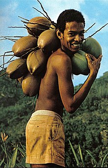 Anse Takamaka-Mahé-Seychelles.jpg