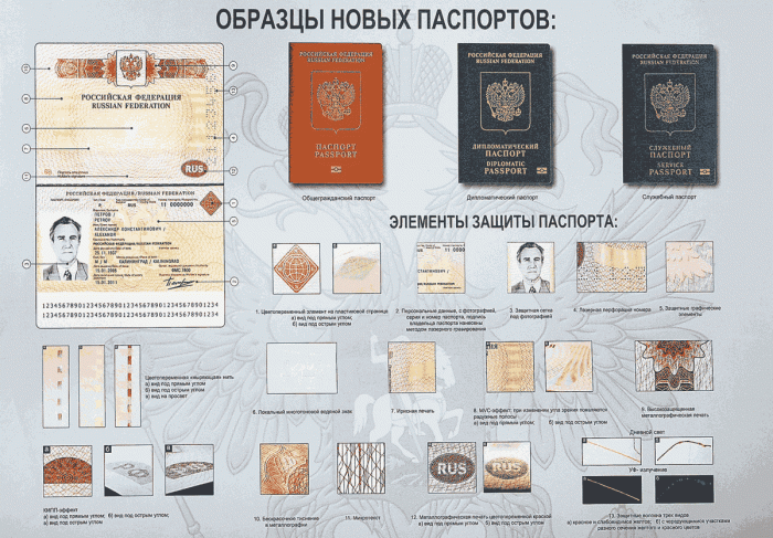Образцы новых паспортов и защитные элементы на них
