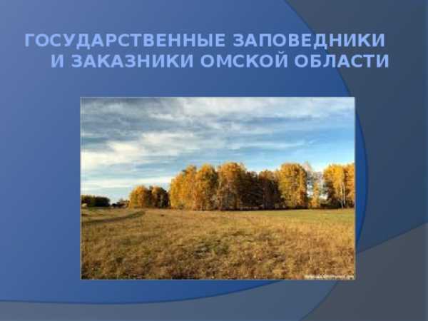 Реферат: Омская область